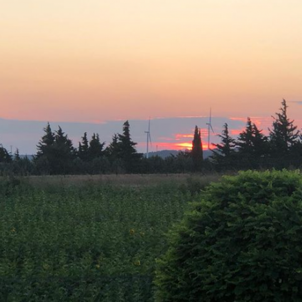 Sevgi Bağı