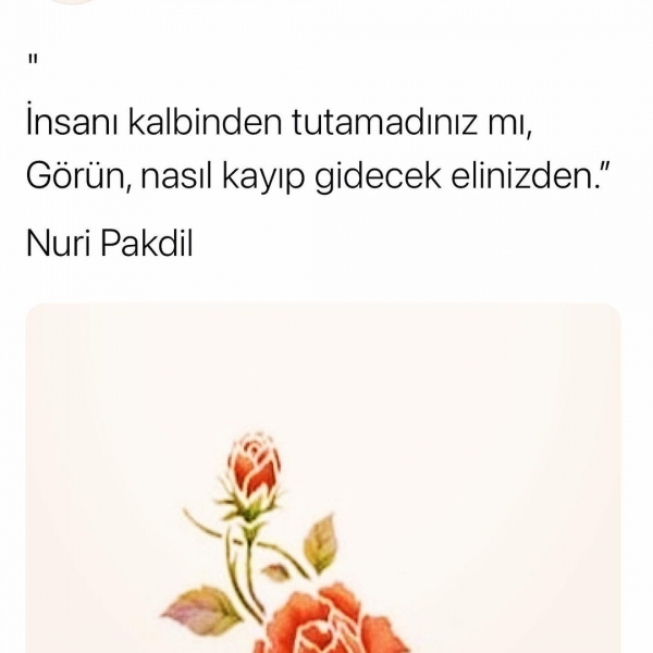 Sevgi