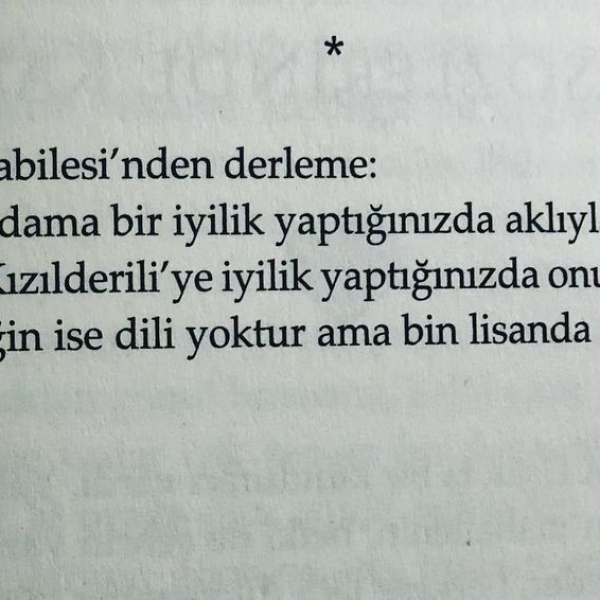 Misafir