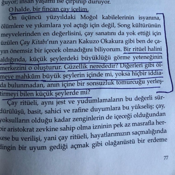 Bir Fincan Çay