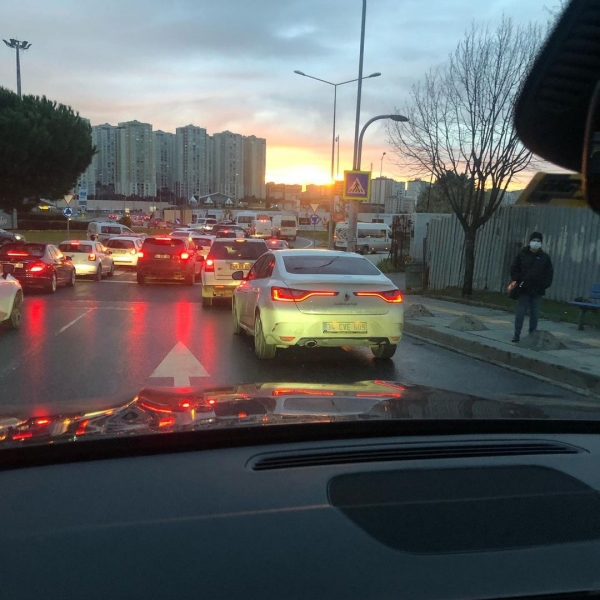 Ana Yüreği