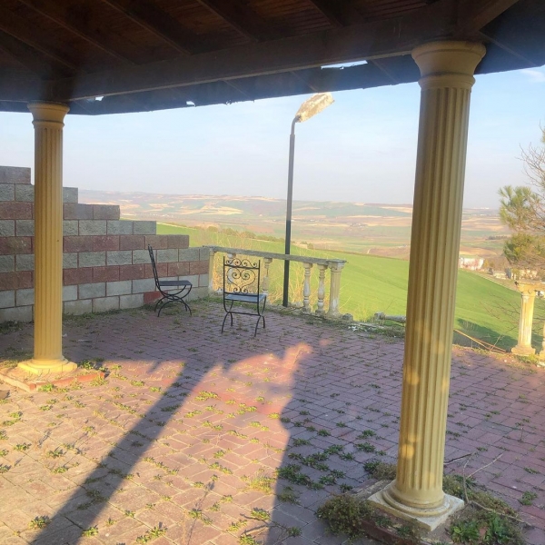 Arayış