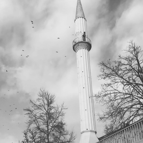 İnsanın Yapısı