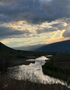 Geldiği Yeri Unutmak