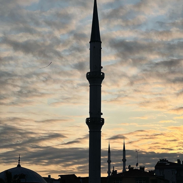 Geldiği Yeri Unutmak